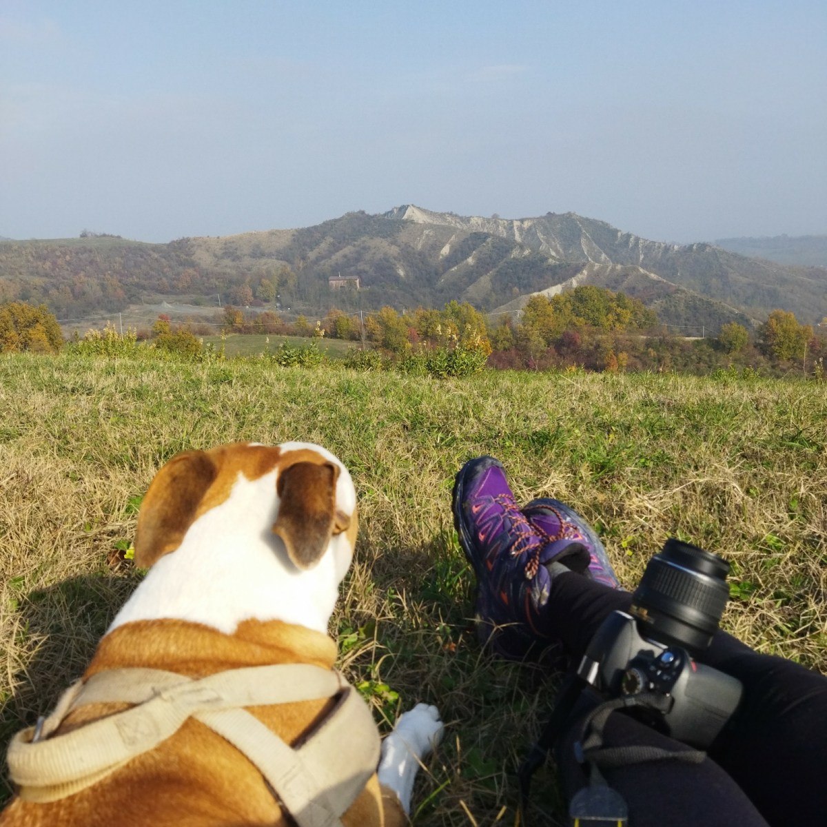 Il dolce suono del&nbsp;silenzio