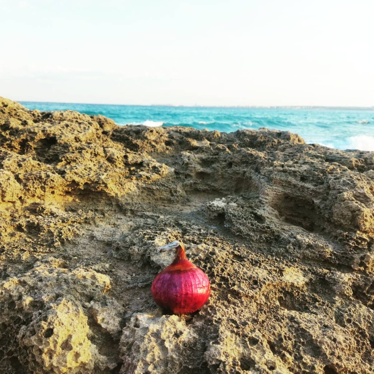 Come una cipolla di Tropea su uno scoglio di una spiaggia nel&nbsp;Salento